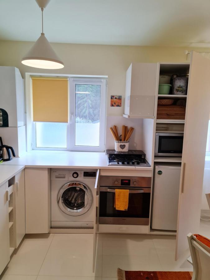 Apartamentul ALB Buşteni Exterior foto